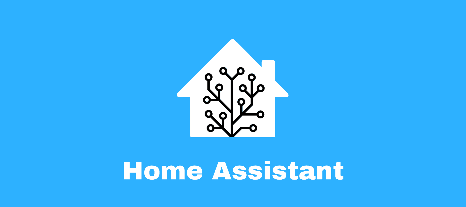 home assistant logo